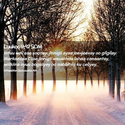 Picture 02 - Luukos 9:42 SOM - Intuu weli soo socday, jinnigii ayaa jeexjeexay - Bible Verse Picture