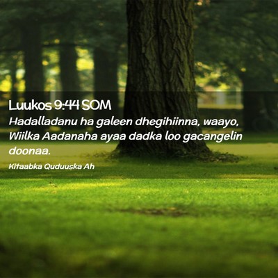 Picture 02 - Luukos 9:44 SOM - Hadalladanu ha galeen dhegihiinna, waayo, Wiilka - Bible Verse Picture