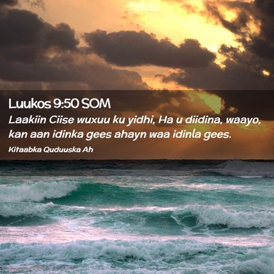 Picture 02 - Luukos 9:50 SOM - Laakiin Ciise wuxuu ku yidhi, Ha u diidina, - Bible Verse Picture