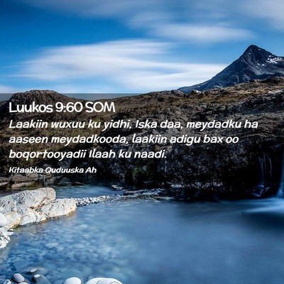 Picture 02 - Luukos 9:60 SOM - Laakiin wuxuu ku yidhi, Iska daa, meydadku ha - Bible Verse Picture