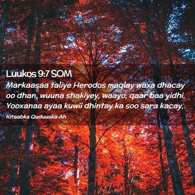 Picture 02 - Luukos 9:7 SOM - Markaasaa taliye Herodos maqlay waxa dhacay oo - Bible Verse Picture