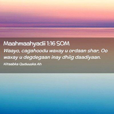 Picture 02 - Maahmaahyadii 1:16 SOM - Waayo, cagahoodu waxay u ordaan shar, Oo waxay u - Bible Verse Picture