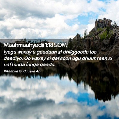 Picture 02 - Maahmaahyadii 1:18 SOM - Iyagu waxay u gaadaan si dhiiggooda loo daadiyo, - Bible Verse Picture