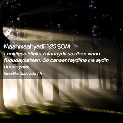 Picture 02 - Maahmaahyadii 1:25 SOM - Laakiinse idinku taladaydii oo dhan waad - Bible Verse Picture