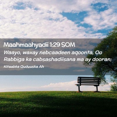 Picture 02 - Maahmaahyadii 1:29 SOM - Waayo, waxay nebcaadeen aqoonta, Oo Rabbiga ka - Bible Verse Picture