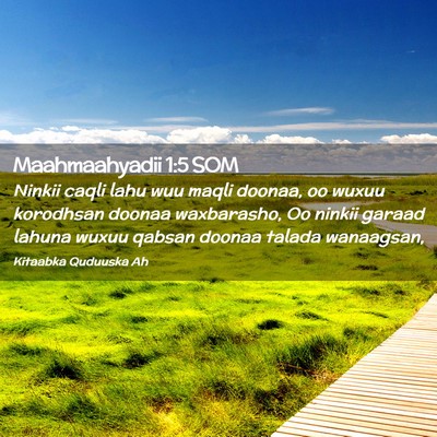 Picture 02 - Maahmaahyadii 1:5 SOM - Ninkii caqli lahu wuu maqli doonaa, oo wuxuu - Bible Verse Picture