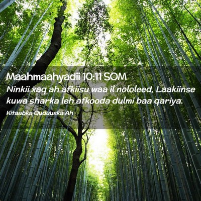 Picture 02 - Maahmaahyadii 10:11 SOM - Ninkii xaq ah afkiisu waa il nololeed, Laakiinse - Bible Verse Picture
