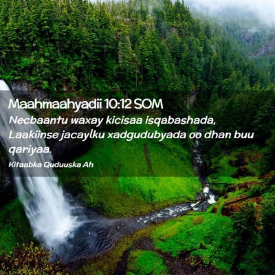 Picture 02 - Maahmaahyadii 10:12 SOM - Necbaantu waxay kicisaa isqabashada, Laakiinse - Bible Verse Picture
