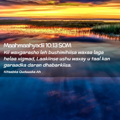 Picture 02 - Maahmaahyadii 10:13 SOM - Kii waxgarasho leh bushimihiisa waxaa laga helaa - Bible Verse Picture