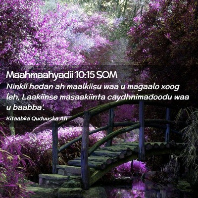 Picture 02 - Maahmaahyadii 10:15 SOM - Ninkii hodan ah maalkiisu waa u magaalo xoog leh, - Bible Verse Picture