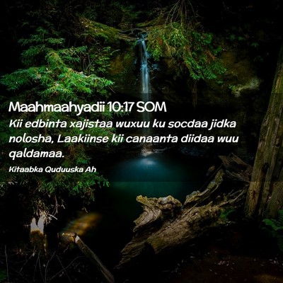 Picture 02 - Maahmaahyadii 10:17 SOM - Kii edbinta xajistaa wuxuu ku socdaa jidka - Bible Verse Picture