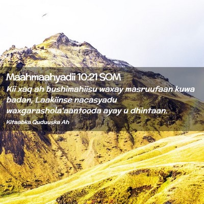 Picture 02 - Maahmaahyadii 10:21 SOM - Kii xaq ah bushimahiisu waxay masruufaan kuwa - Bible Verse Picture