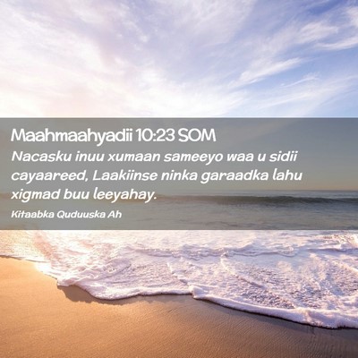 Picture 02 - Maahmaahyadii 10:23 SOM - Nacasku inuu xumaan sameeyo waa u sidii - Bible Verse Picture