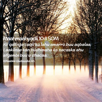 Picture 02 - Maahmaahyadii 10:8 SOM - Kii qalbiga caqli ku lahu amarro buu aqbalaa, - Bible Verse Picture