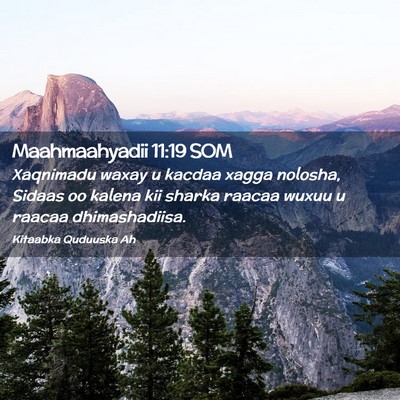 Picture 02 - Maahmaahyadii 11:19 SOM - Xaqnimadu waxay u kacdaa xagga nolosha, Sidaas oo - Bible Verse Picture