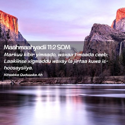 Picture 02 - Maahmaahyadii 11:2 SOM - Markuu kibir yimaado, waxaa timaada ceeb; - Bible Verse Picture