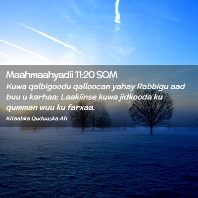 Picture 02 - Maahmaahyadii 11:20 SOM - Kuwa qalbigoodu qalloocan yahay Rabbigu aad buu u - Bible Verse Picture