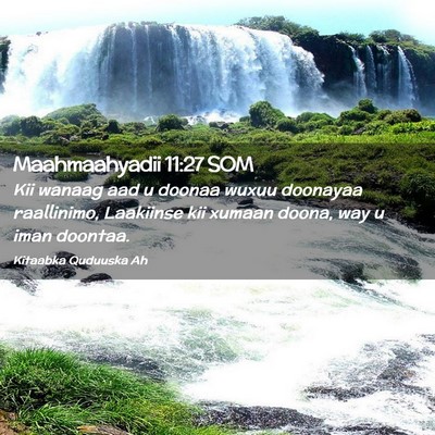 Picture 02 - Maahmaahyadii 11:27 SOM - Kii wanaag aad u doonaa wuxuu doonayaa - Bible Verse Picture