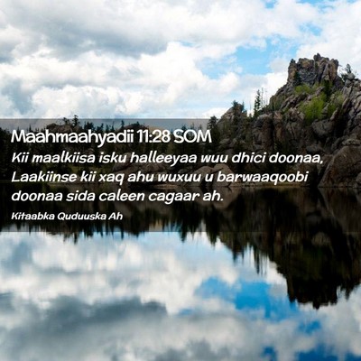 Picture 02 - Maahmaahyadii 11:28 SOM - Kii maalkiisa isku halleeyaa wuu dhici doonaa, - Bible Verse Picture