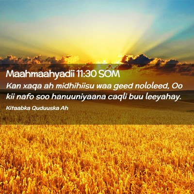 Picture 02 - Maahmaahyadii 11:30 SOM - Kan xaqa ah midhihiisu waa geed nololeed, Oo kii - Bible Verse Picture