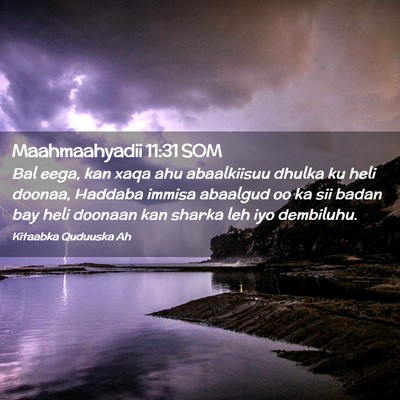 Picture 02 - Maahmaahyadii 11:31 SOM - Bal eega, kan xaqa ahu abaalkiisuu dhulka ku heli - Bible Verse Picture