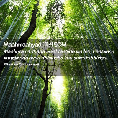 Picture 02 - Maahmaahyadii 11:4 SOM - Maalinta cadhada maal faa'iido ma leh, Laakiinse - Bible Verse Picture
