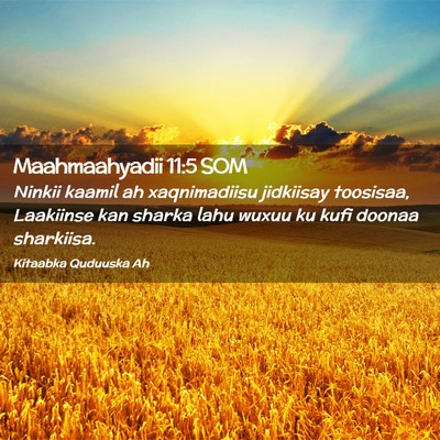 Picture 02 - Maahmaahyadii 11:5 SOM - Ninkii kaamil ah xaqnimadiisu jidkiisay toosisaa, - Bible Verse Picture