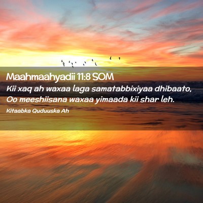 Picture 02 - Maahmaahyadii 11:8 SOM - Kii xaq ah waxaa laga samatabbixiyaa dhibaato, Oo - Bible Verse Picture