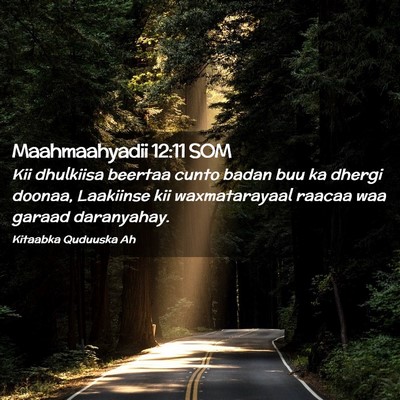 Picture 02 - Maahmaahyadii 12:11 SOM - Kii dhulkiisa beertaa cunto badan buu ka dhergi - Bible Verse Picture