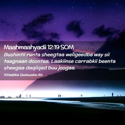 Picture 02 - Maahmaahyadii 12:19 SOM - Bushintii runta sheegtaa weligeedba way sii - Bible Verse Picture