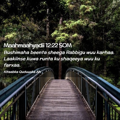 Picture 02 - Maahmaahyadii 12:22 SOM - Bushimaha beenta sheega Rabbigu wuu karhaa. - Bible Verse Picture