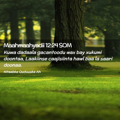 Picture 02 - Maahmaahyadii 12:24 SOM - Kuwa dadaala gacantoodu wax bay xukumi doontaa, - Bible Verse Picture