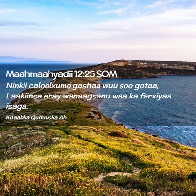 Picture 02 - Maahmaahyadii 12:25 SOM - Ninkii caloolxumo gashaa wuu soo gotaa, Laakiinse - Bible Verse Picture