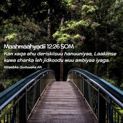 Picture 02 - Maahmaahyadii 12:26 SOM - Kan xaqa ahu deriskiisuu hanuuniyaa, Laakiinse - Bible Verse Picture