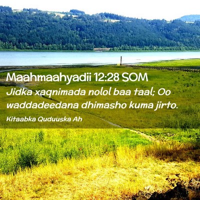Picture 02 - Maahmaahyadii 12:28 SOM - Jidka xaqnimada nolol baa taal; Oo waddadeedana - Bible Verse Picture