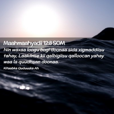 Picture 02 - Maahmaahyadii 12:8 SOM - Nin waxaa loogu bogi doonaa sida xigmaddiisu - Bible Verse Picture