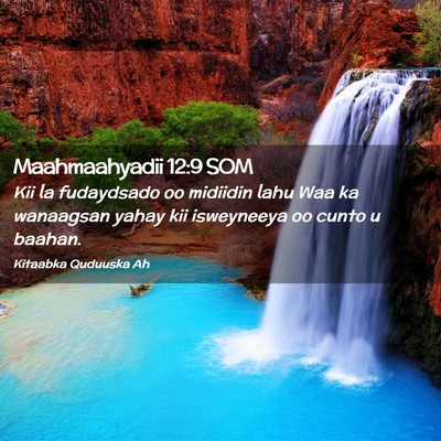 Picture 02 - Maahmaahyadii 12:9 SOM - Kii la fudaydsado oo midiidin lahu Waa ka - Bible Verse Picture