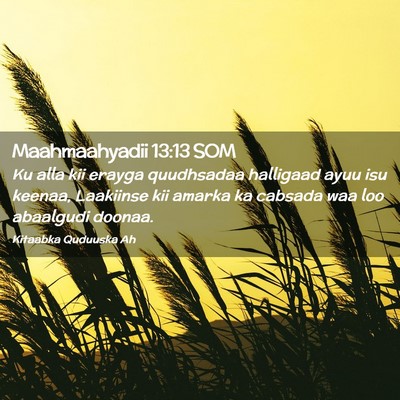 Picture 02 - Maahmaahyadii 13:13 SOM - Ku alla kii erayga quudhsadaa halligaad ayuu isu - Bible Verse Picture