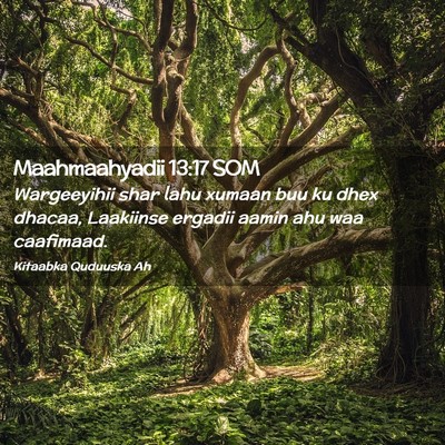 Picture 02 - Maahmaahyadii 13:17 SOM - Wargeeyihii shar lahu xumaan buu ku dhex dhacaa, - Bible Verse Picture