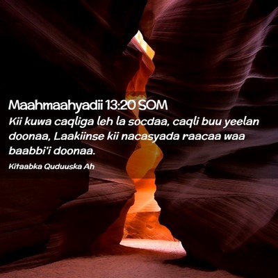 Picture 02 - Maahmaahyadii 13:20 SOM - Kii kuwa caqliga leh la socdaa, caqli buu yeelan - Bible Verse Picture