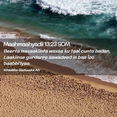 Picture 02 - Maahmaahyadii 13:23 SOM - Beerta masaakiinta waxaa ku taal cunto badan, - Bible Verse Picture