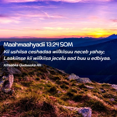 Picture 02 - Maahmaahyadii 13:24 SOM - Kii ushiisa ceshadaa wiilkiisuu neceb yahay; - Bible Verse Picture