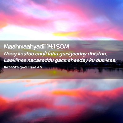 Picture 02 - Maahmaahyadii 14:1 SOM - Naag kastoo caqli lahu gurigeeday dhistaa, - Bible Verse Picture