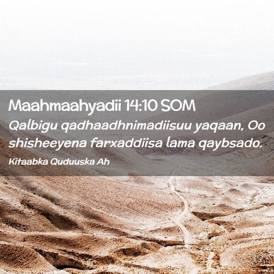 Picture 02 - Maahmaahyadii 14:10 SOM - Qalbigu qadhaadhnimadiisuu yaqaan, Oo shisheeyena - Bible Verse Picture