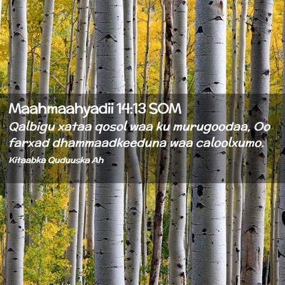 Picture 02 - Maahmaahyadii 14:13 SOM - Qalbigu xataa qosol waa ku murugoodaa, Oo farxad - Bible Verse Picture