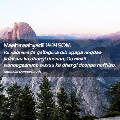 Picture 02 - Maahmaahyadii 14:14 SOM - Kii xaqnimada qalbigiisa dib ugaga noqdaa - Bible Verse Picture