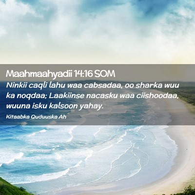 Picture 02 - Maahmaahyadii 14:16 SOM - Ninkii caqli lahu waa cabsadaa, oo sharka wuu ka - Bible Verse Picture