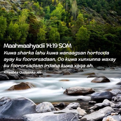 Picture 02 - Maahmaahyadii 14:19 SOM - Kuwa sharka lahu kuwa wanaagsan hortooda ayay ku - Bible Verse Picture