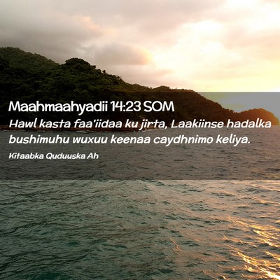Picture 02 - Maahmaahyadii 14:23 SOM - Hawl kasta faa'iidaa ku jirta, Laakiinse hadalka - Bible Verse Picture