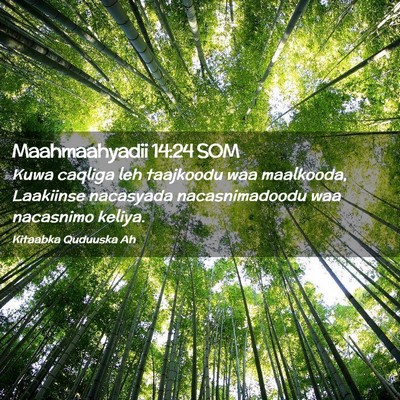 Picture 02 - Maahmaahyadii 14:24 SOM - Kuwa caqliga leh taajkoodu waa maalkooda, - Bible Verse Picture
